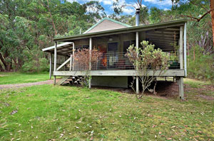 Dog friendly Otways Accommodation - Great Ocean Road, Victoria