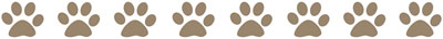 Dog friendly accommodation Victoria and South Australia