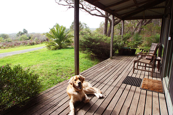 Pet Friendly Accommodation - Cape Otway - Victoria